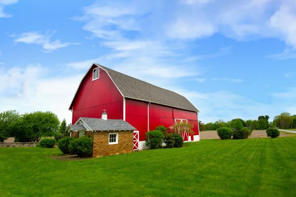 Barn Building