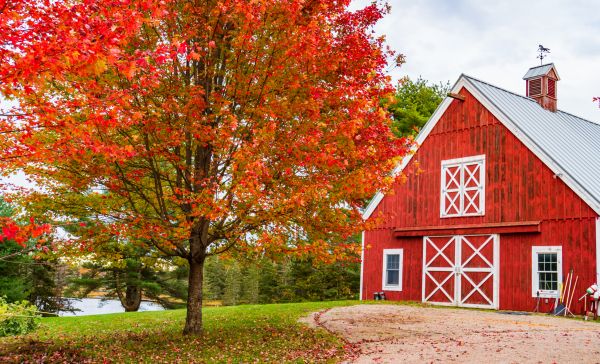 Red Barn Construction