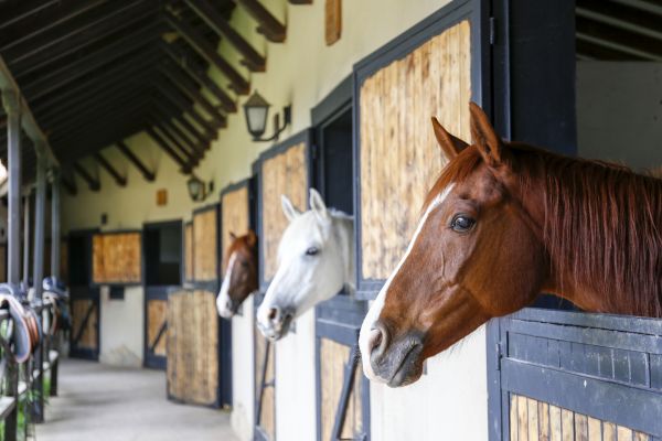 Stable Construction
