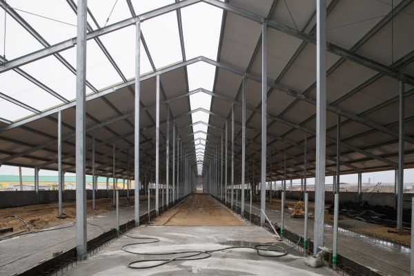 Animal Shelter Construction