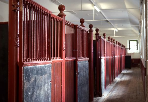 Equine Shelter Construction