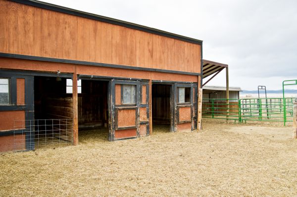 Horse Shelter Building