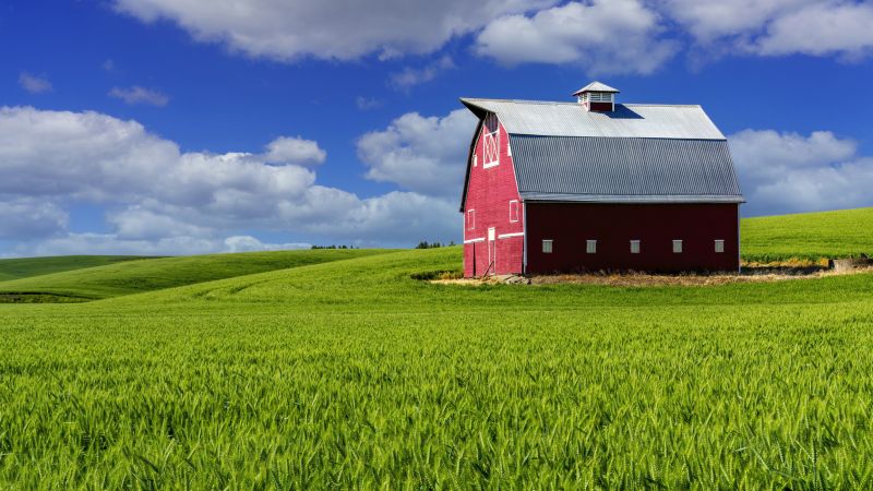 Livestock Barn Construction