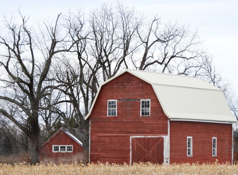 Livestock Barn Construction